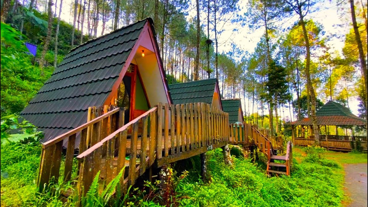 Telomoyo Nature Park: Destinasi Menakjubkan di Lereng Gunung Telomoyo